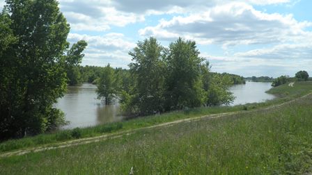 Bords de Loire à Mardié 2.jpg