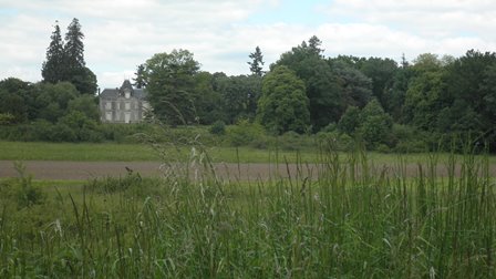 Bords de Loire à Mardié 3.jpg