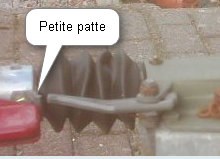 Petite patte.png