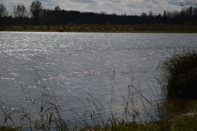 Bords de Loire à BOU 1.jpg