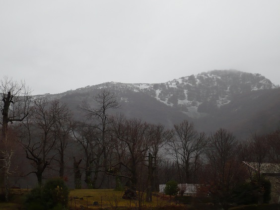 neige le 20 12 2016.JPG