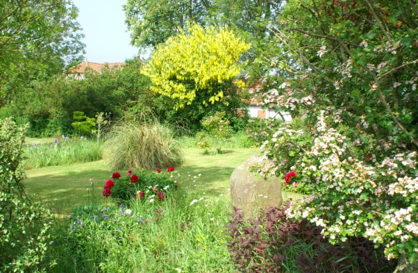 Jardin.jpg