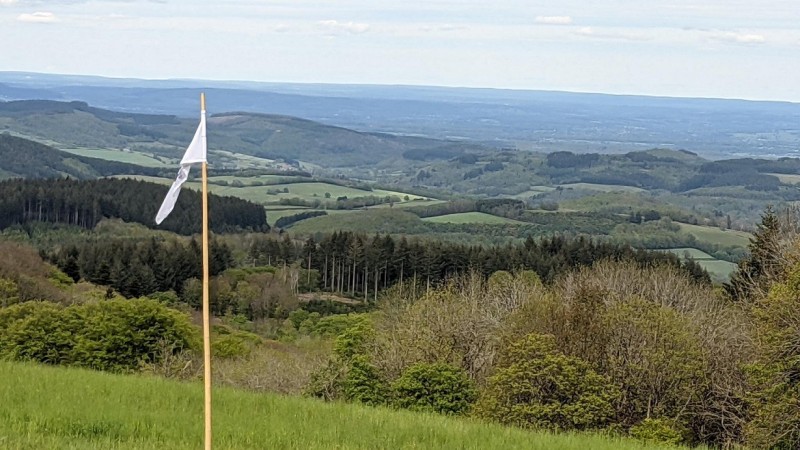 Mont Beuvray, vue sur les Alpes.jpg