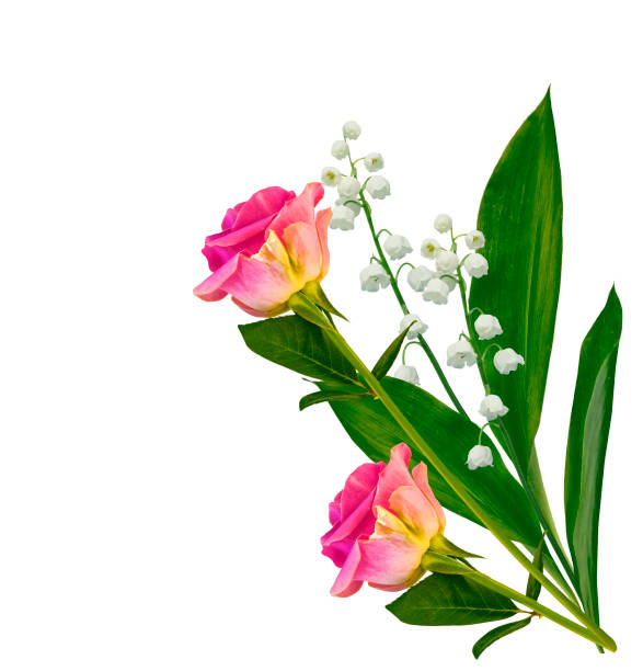 MUGUET du 1er MAI 6.jpg