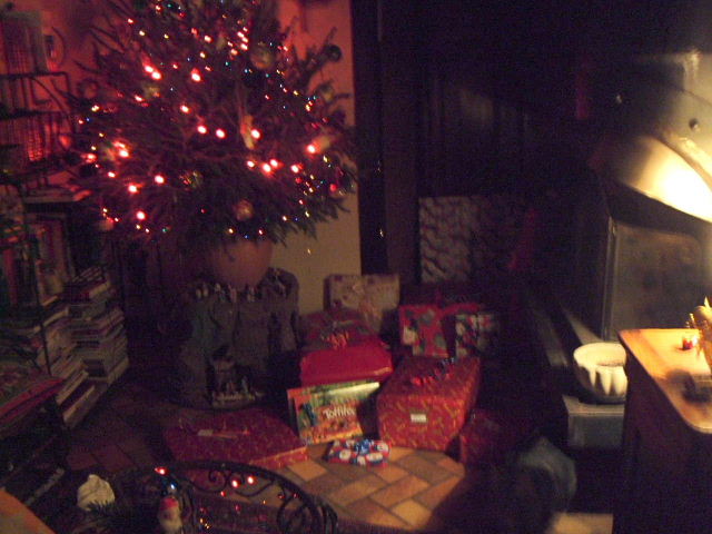 Noël_20100016.JPG